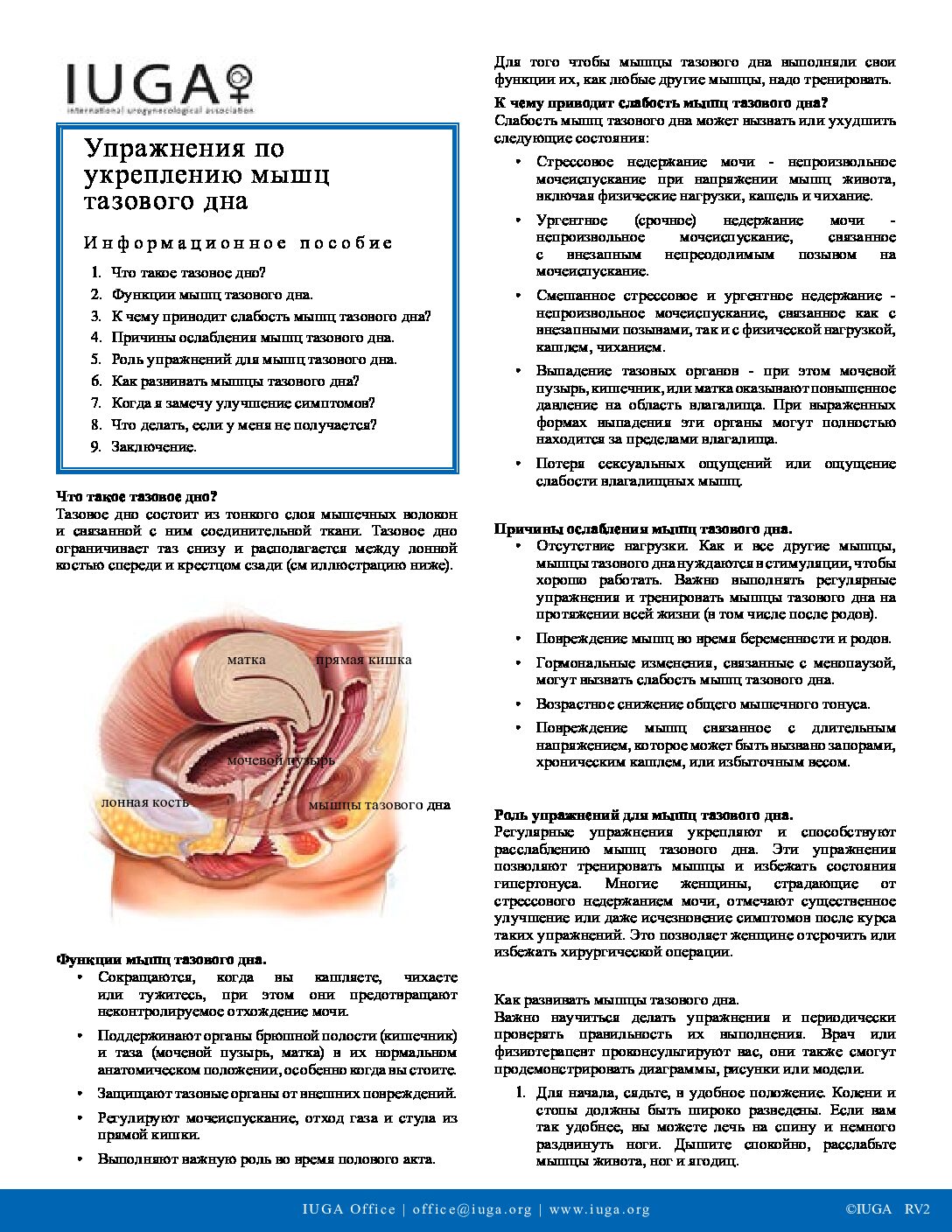 Упражнения для укрепления мышц тазового дна