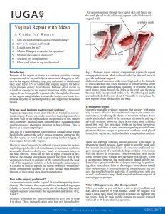 Vaginal-Repair-with-Mesh - Your Pelvic Floor